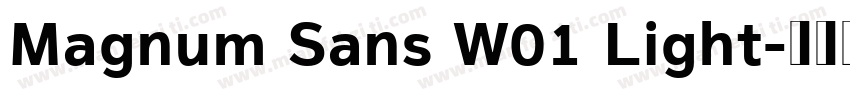 Magnum Sans W01 Light字体转换